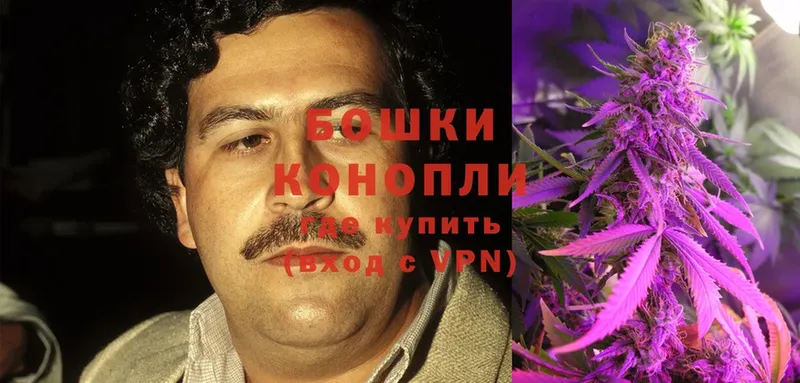 darknet телеграм  Михайловск  Бошки марихуана Ganja 